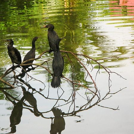 Flora And Fauna Мірісса Екстер'єр фото